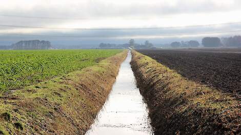 Beeld ter illustratie. Waterkwaliteit is een onderwerp waarbij samenwerking tussen de sectoren moet leiden tot innovatie en uiteindelijk verbetering.