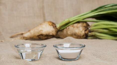 Twee producten gemaakt van cichorei: links Frutalose® oligofructose (vloeibare variant) en rechts de vaste variant: Frutafit® inuline.