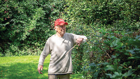 Louis Dolmans is een ervaren heggenvlechter en krijgt zo makkelijker de gewenste vogels in zijn hagen.