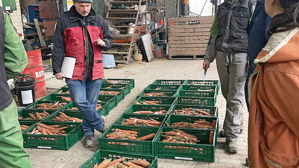 Wortelen beoordelen met Edwin Nuijten op biodynamisch akkerbouwbedrijf Gaos in Dronten.