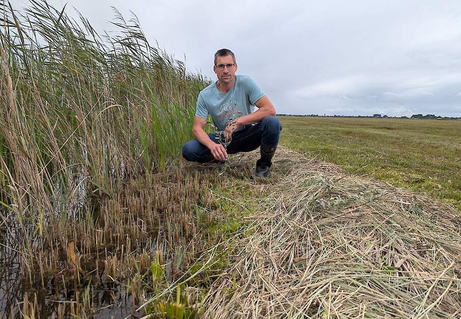 Melkveehouder Hugo Spruit op afgeplagd veenweideperceel