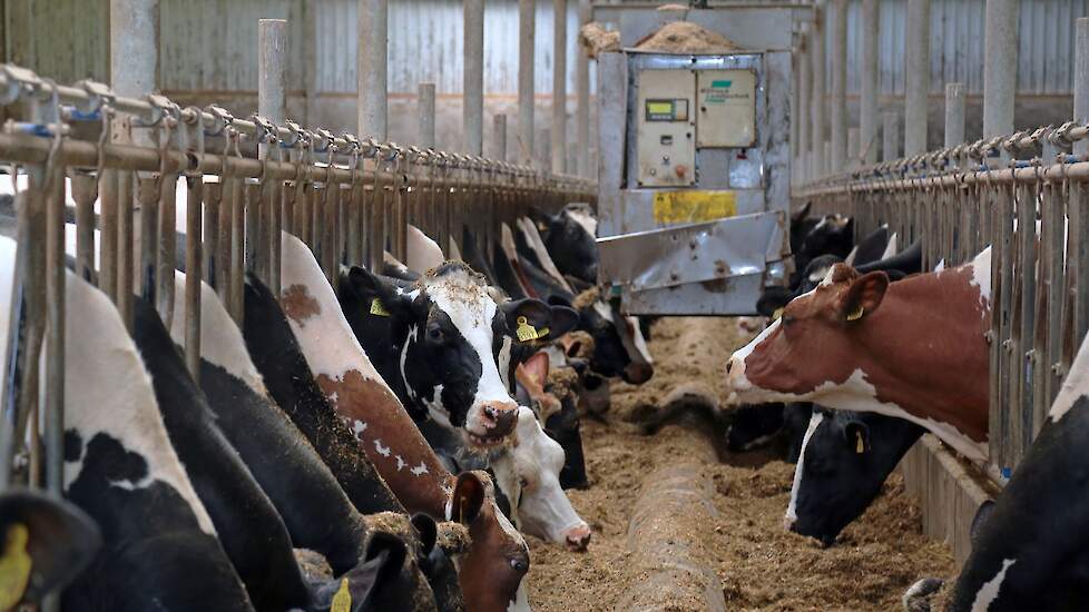 Hoofdafbeelding thema-dag automatisch voeren