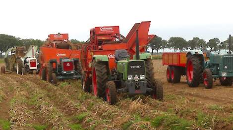 Nostalgie op het land: Ford, MF, Hanomag en meer bij spectaculaire rooidemo