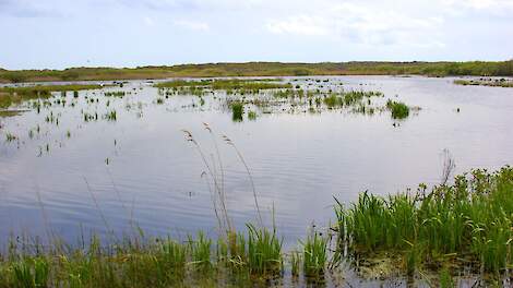 Natuurgebied het Zwanenwater was één van de locaties waar dinoterb werd aangetroffen.