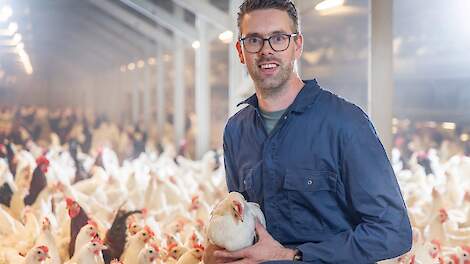 „Witte hennen leggen meer eieren dan bruine, maar bruine hennen hebben hierin hele grote sprongen voorwaarts gemaakt”, zegt legvermeerderaar Maarten Schimmel uit Kesteren (GD). Hij houdt zowel witte als bruine hennen. Hij zit hier tussen zijn 'bruine' hen