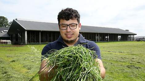 Roy Meijer, NAJK, Melkvee, Drenthe, Witteveen, Agrarisch, Landbouw, Belangenbehartiger