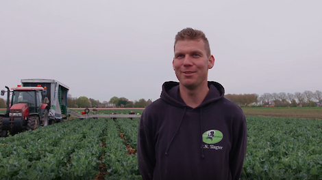 jonge boer