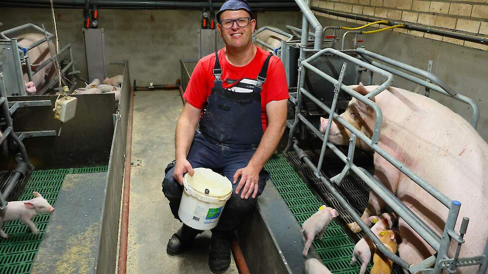 Bedrijfsleider Frank van Kuringen is verantwoordelijk voor de zeugen en biggen op de locatie in Heeze. Zijn streven is om alle biggen op jonge leeftijd vast voer op te laten nemen.