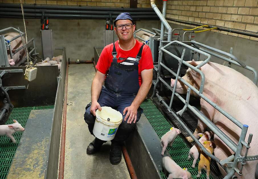 Bedrijfsleider Frank van Kuringen is verantwoordelijk voor de zeugen en biggen op de locatie in Heeze. Zijn streven is om alle biggen op jonge leeftijd vast voer op te laten nemen.