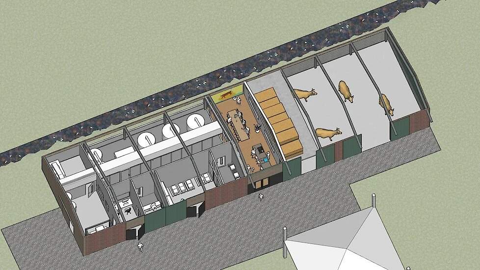 Impressie van een kweekvleesboerderij met vee en de productie van kweekvlees onder hetzelfde dak.