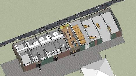Impressie van een kweekvleesboerderij met vee en de productie van kweekvlees onder hetzelfde dak.