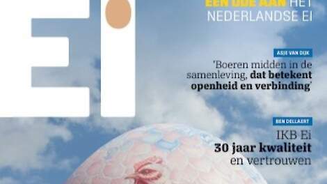 Het Magazine EI