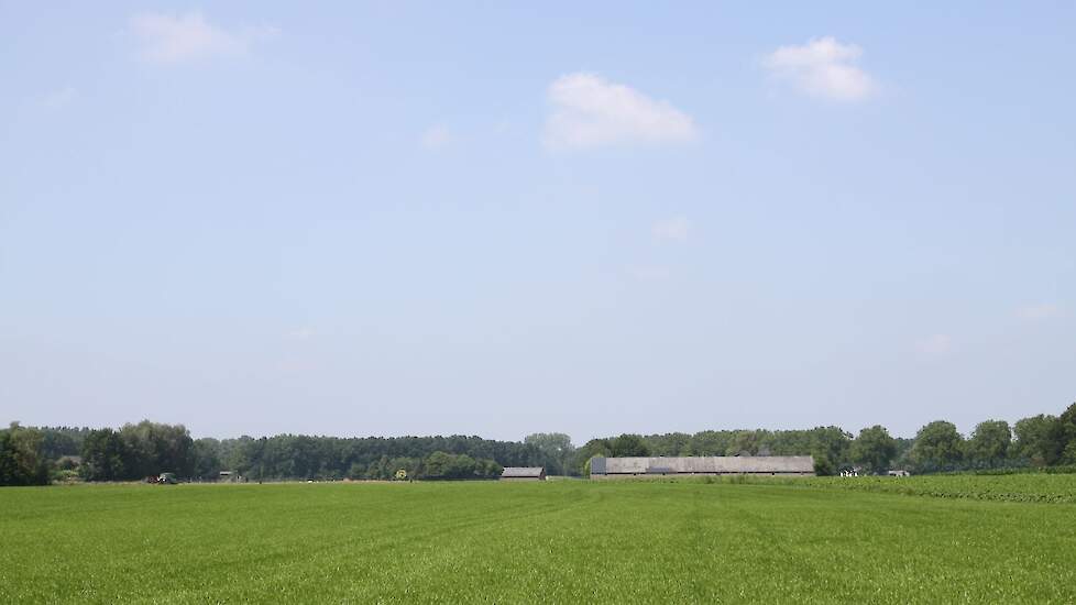 (Foto ter illustratie)