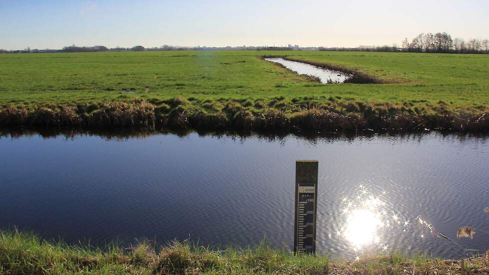 Er is door het ministerie van LVVN geld vrijgemaakt voor een gebiedsgerichte aanpak in het Groene Hart.