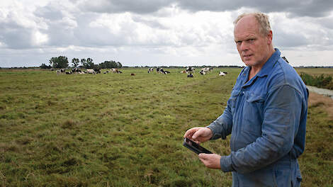 Bauke Dijkstra: „Collie helpt ons om de koeien op het juiste moment op het juiste perceel te weiden.”