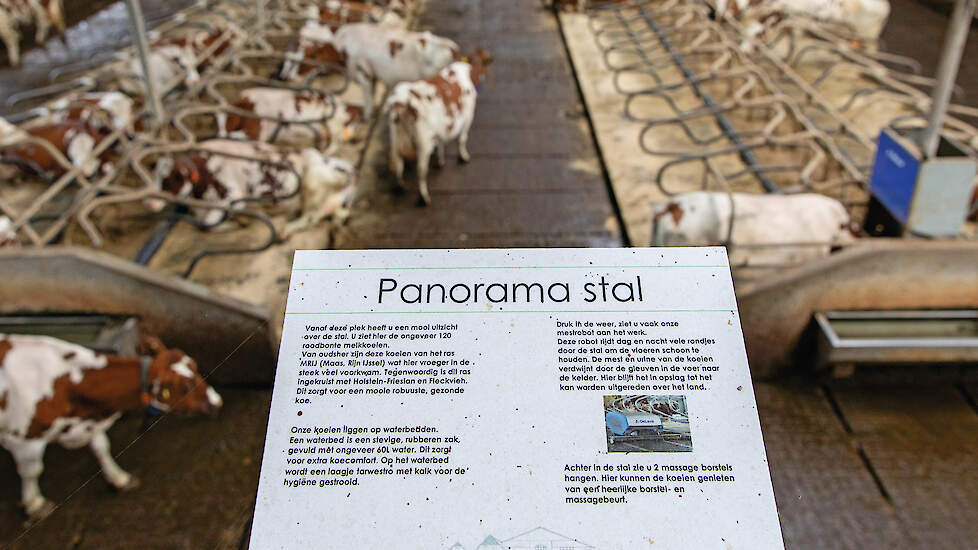 De maatschap Kloosterboer ontvangt regelmatig groepen op het bedrijf.  Vanuit de skybox annex vergaderruimte hebben bezoekers een panoramisch uitzicht over de stal.