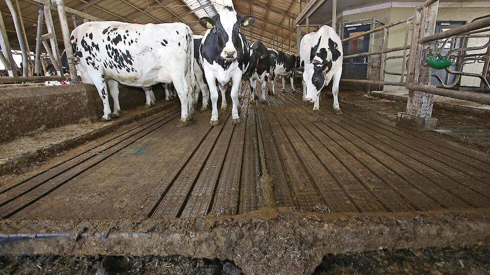 Een mestschuif houdt de stalvloer schoon en vermindert de uitstoot van ammoniak. Middelvoorschriften schrijven dit soort technieken vaak voor, terwijl doelvoorschriften meer ruimte zouden geven voor bedrijfseigen oplossingen.