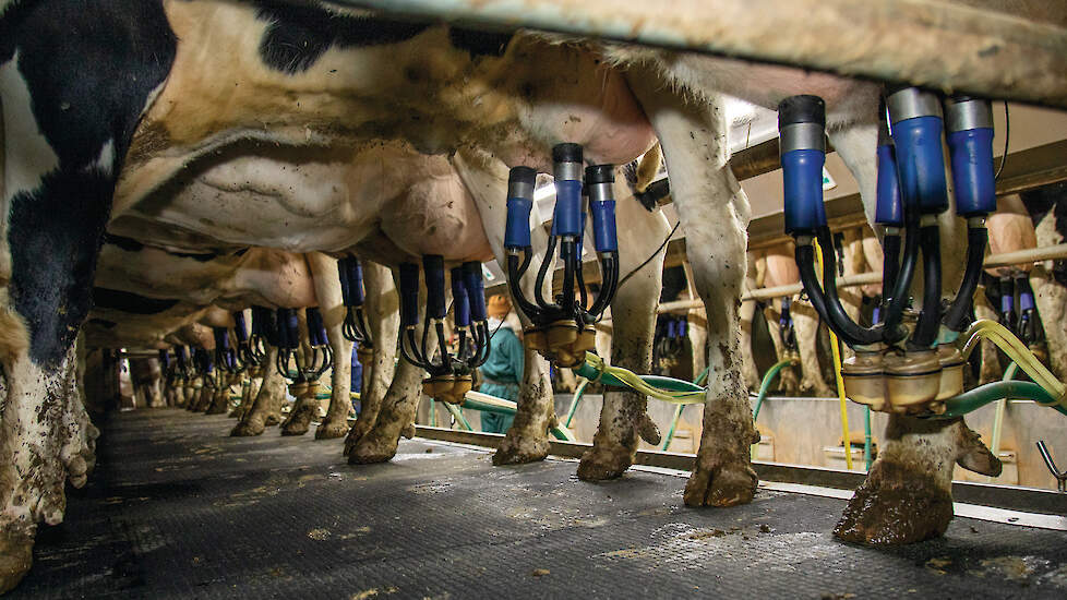 Terwijl de productie wereldwijd toeneemt, blijft de vraag achter en staan zuivelprijzen onder druk, verwacht Rabobank.
