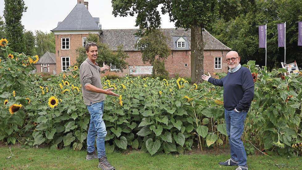 Hugo Bens (links) en Ad Berends bij het zonnebloemenveld in Aldendrielpark Mill, onderdeel van de Schijf van Vijf ‘oliën en vetten’.