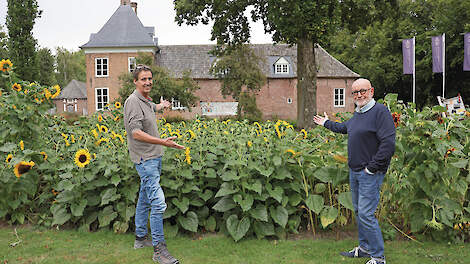 Hugo Bens (links) en Ad Berends bij het zonnebloemenveld in Aldendrielpark Mill, onderdeel van de Schijf van Vijf ‘oliën en vetten’.