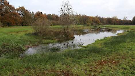 Natura 2000-gebied Aamsveen ter illustratie.
