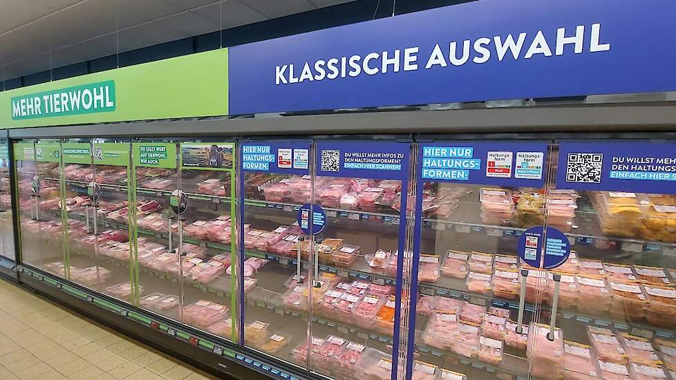 In Duitsland botst het hogere aanbod van levende dieren op een aanhoudend rustige vraag naar vlees.
