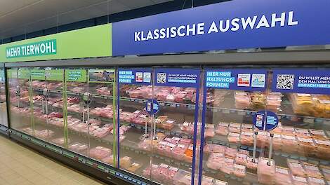 In Duitsland botst het hogere aanbod van levende dieren op een aanhoudend rustige vraag naar vlees.
