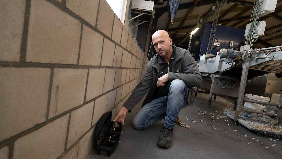 Leghennenhouder Robert van der Bolt is zelf actief bezig met ongediertebestrijding na een salmonella-uitbraak in januari vorig jaar.