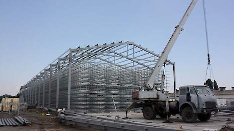 Er worden momenteel zowel nieuwe leghennen- als vleeskuikenbedrijven gebouwd aan de Pools-Oekraïense grens. Beeld ter illustratie.