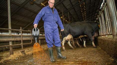 stikstof, brabant, stallendeadline