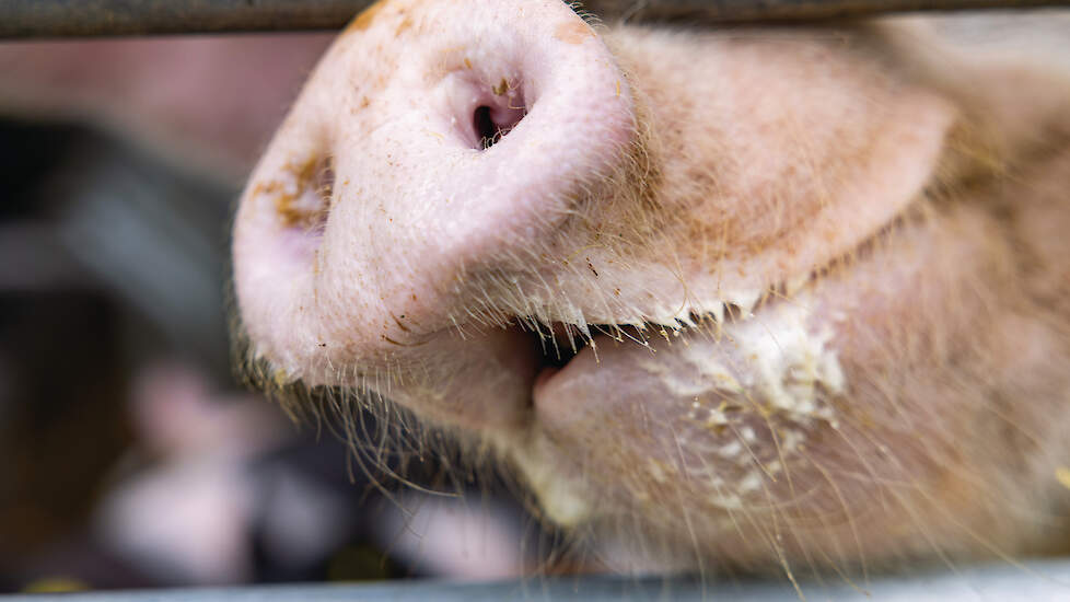 Meer ventileren en inkomende lucht voorverwarmen houdt de slijmvliezen gezond en actief.