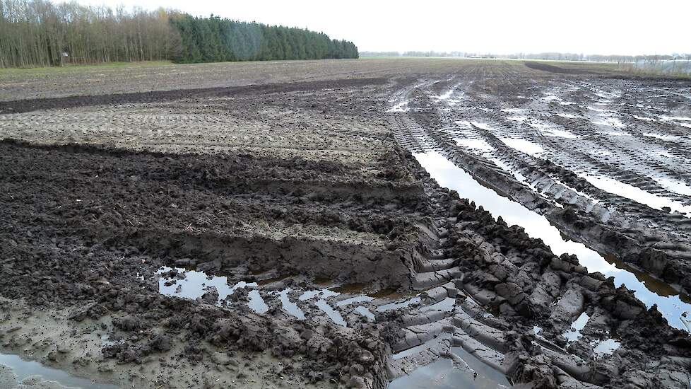Het weer voorspellen lijkt bijna onmogelijk, waardoor berichten en apps weinig houvast bieden bij het plannen van werkzaamheden op het land. Vandaag schijnt de zon, morgen stortbuien, je kunt er beter niet te veel op vertrouwen.