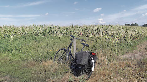 In geen enkele sector is het percentage zelfdodingen zo hoog als in de agrarische sector. Gemiddeld elke twee weken overlijdt een boer door zelfdoding.