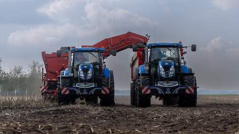 Volle bak aardappelen inschuren New Holland T7.200 in combinatie met een Grimme SE 260