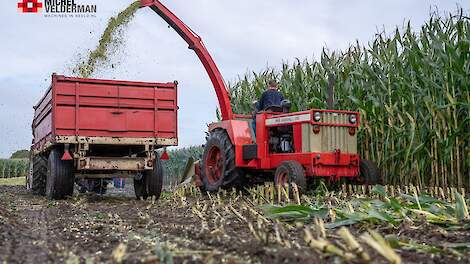 De Oldtimer Hakseldag in Dalen bracht opnieuw veel bekijks. Klassieke hakselaars gingen de uitdaging aan met de groene mais — en dat leverde niet alleen spanning, maar ook schitterende beelden op.