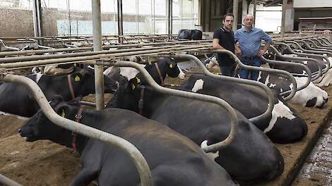 Netwerkdeelnemers Jack en Jean Nicolaes - NPB