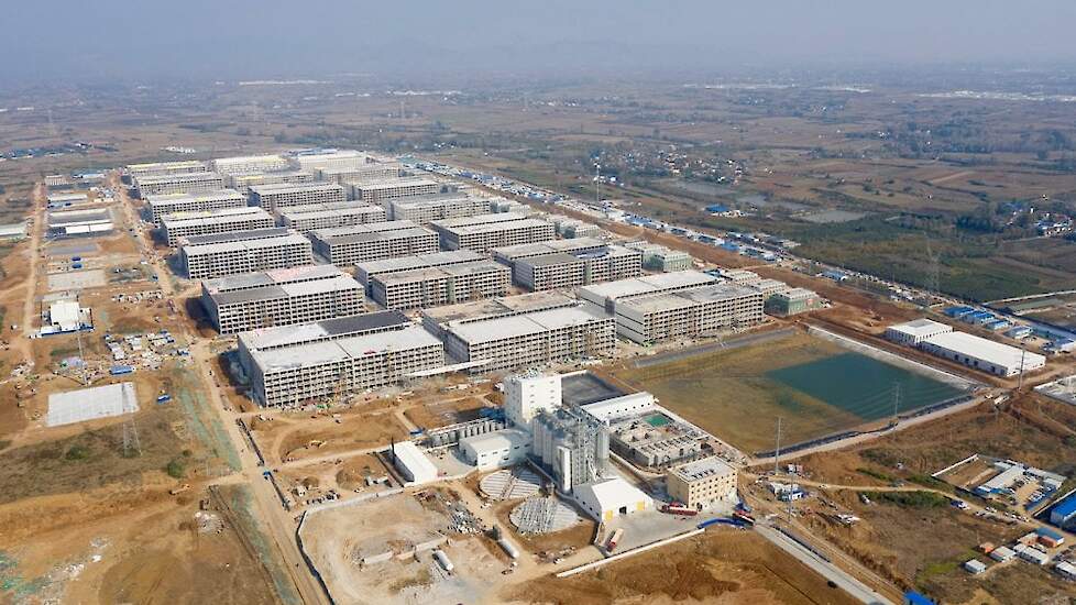 De nieuw gebouwde varkenshouderijmet meerdere verdiepingen van Muyuan Foods in Neixiang County in 2020.