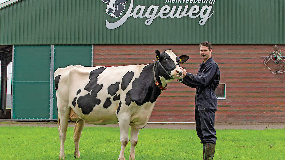 Castel Bad-dochter Maartje 19 (89 punten) is een van de vier koeien die meegaan naar Leeuwarden.