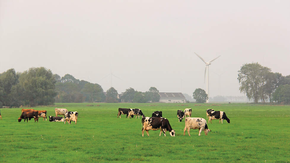 Politiek en sector praten al jaren over een grondgebonden melkveehouderij. Met zijn wetsvoorstel neemt Harm Holman het initiatief voor wettelijke kaders.