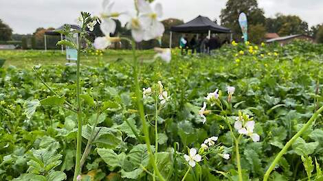 DSV TerraLife Expertdag Bodem 2025