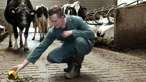 AR-specialist Jeroen van Veldhuizen zeeft mest
