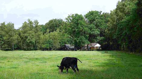 Boerenlandschap