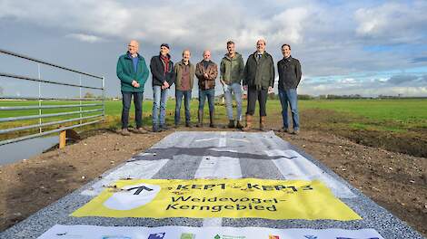 Weidevogel, Schipluiden, Midden-Delfland, Klaas Engelbrechtspolder, boeren, natuur, agrarisch natuurbeheer
