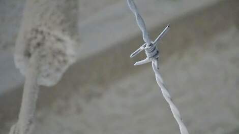 Om de uitstoot van fijnstofemissies uit pluimveestallen te beperken, worden onder andere fijnstof-reducerende hoogspanningstechnieken ingezet.