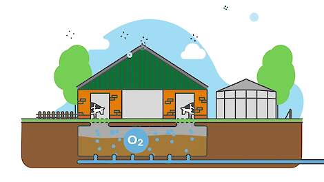 Zuurstofgehalte in de mest - NPB