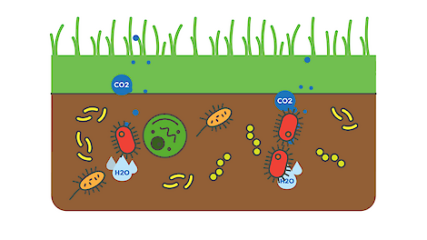Methaan oxideren uit serie 'Methaan uit mest'.
