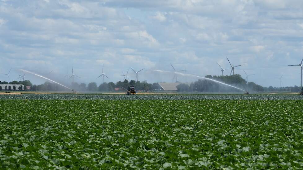 Beregenen in de polder