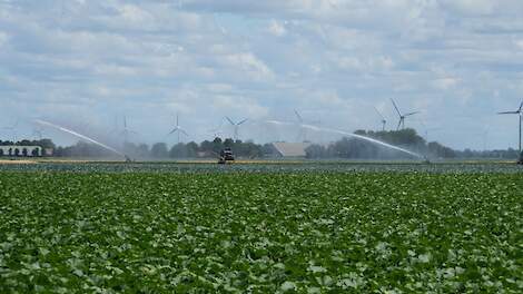 Beregenen in de polder
