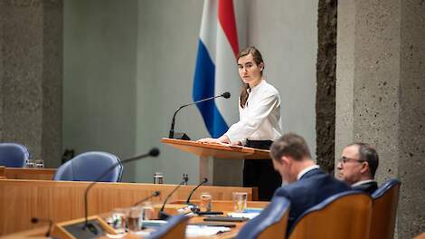 Lidewij de Vos in de Tweede Kamer