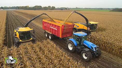 Maïshaksel demonstratie met de nieuwe New Holland FR 650 en FR 550 Forage Cruiser Trekkerweb